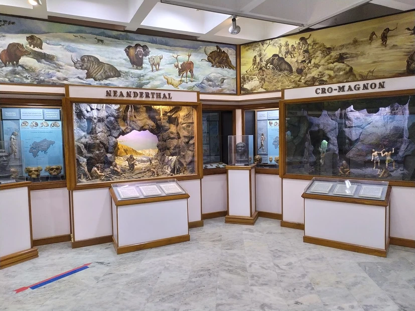 Don Bosco Museum photo 4 in Shillong