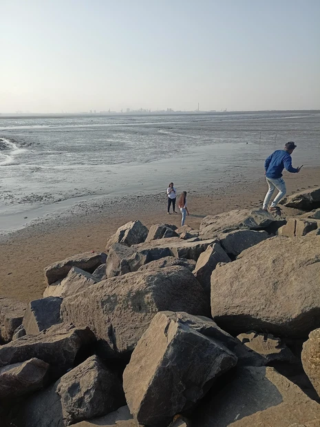 Dumas Beach photo 5 in Surat