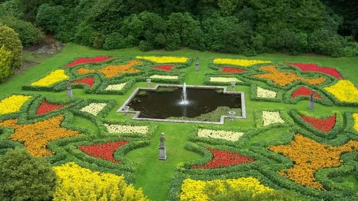 Dutch Garden photo 2 in Surat