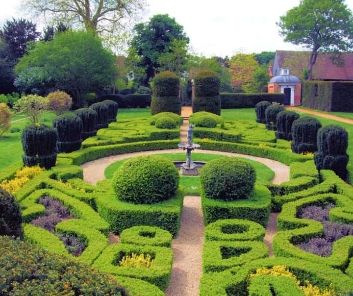 Dutch Garden photo 3 in Surat