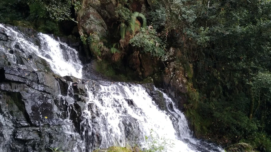 Elephant Falls photo 4 in Shillong