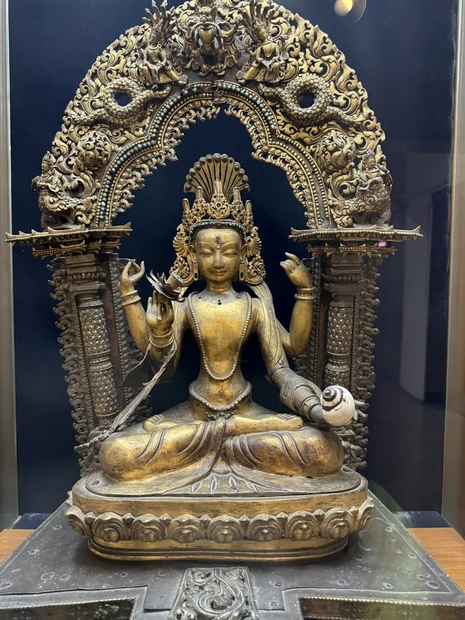 Government Museum and Art Gallery photo 2 in Chandigarh