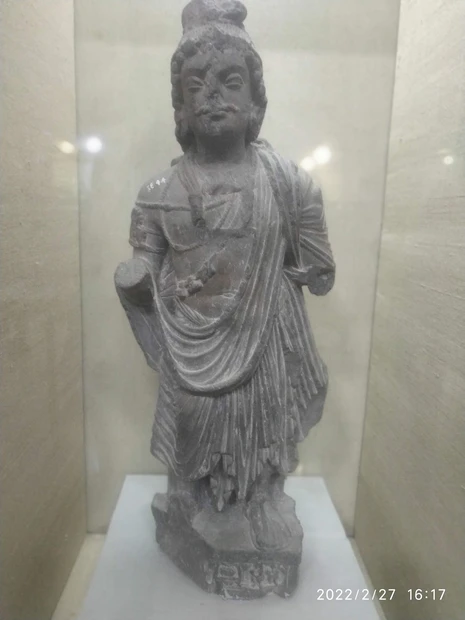 Government Museum and Art Gallery photo 4 in Chandigarh