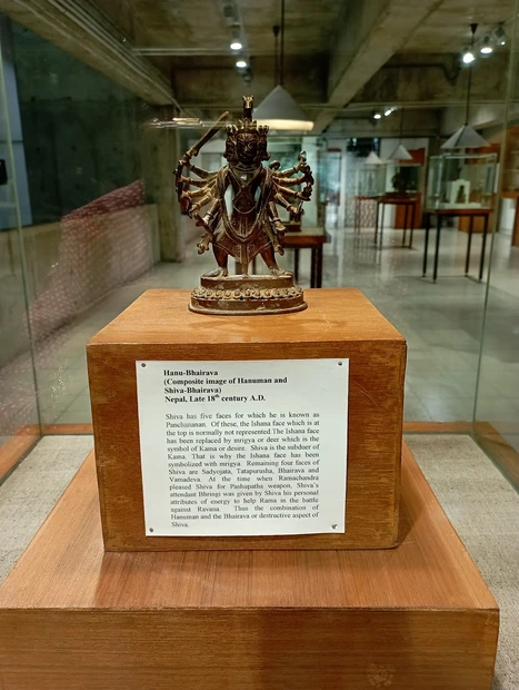 Government Museum and Art Gallery photo 5 in Chandigarh