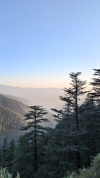 Green Valley photo 3 in Shimla