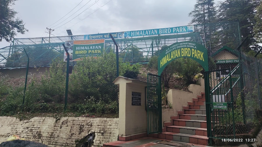 Himalayan Bird Park photo 2 in Shimla