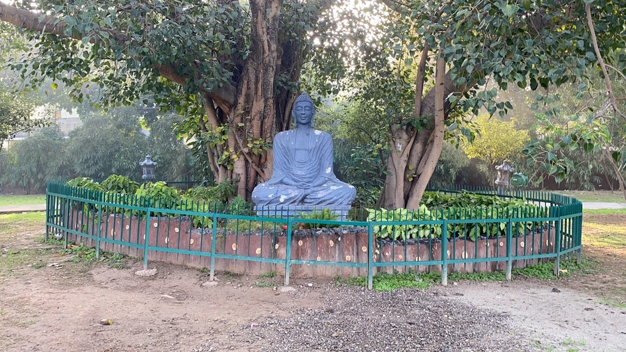 Japanese Garden, 31A Chandigarh photo 4 in Chandigarh