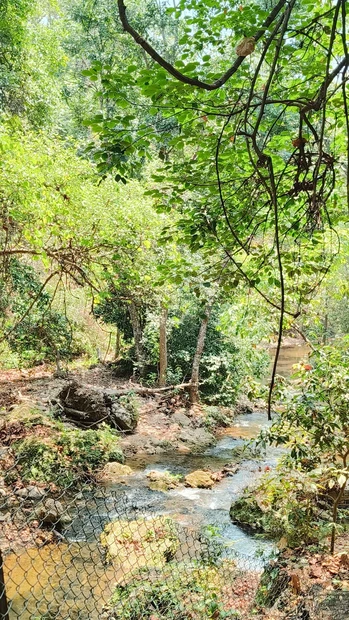 Jim Corbett Waterfall photo 3 in Ramnagar