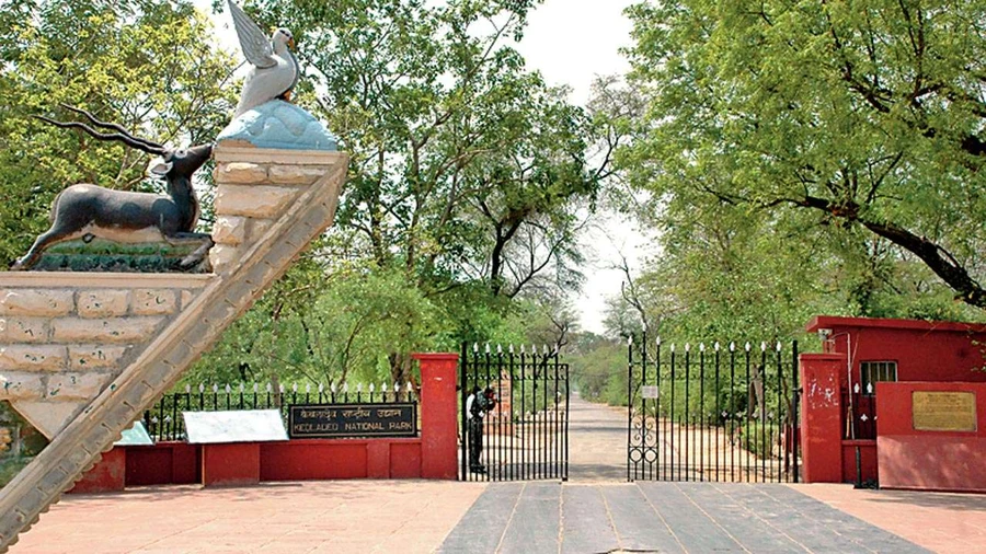 Keoladeo National Park photo 3 in Bharatpur