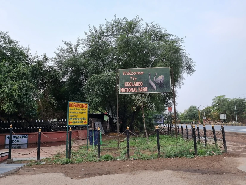 Keoladeo National Park photo 4 in Bharatpur