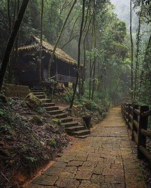 Khasi Hills photo 2 in Shillong