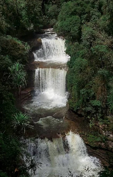 Khasi Hills photo 3 in Shillong