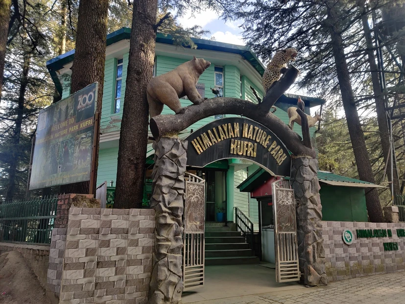 Kufri photo 3 in Shimla