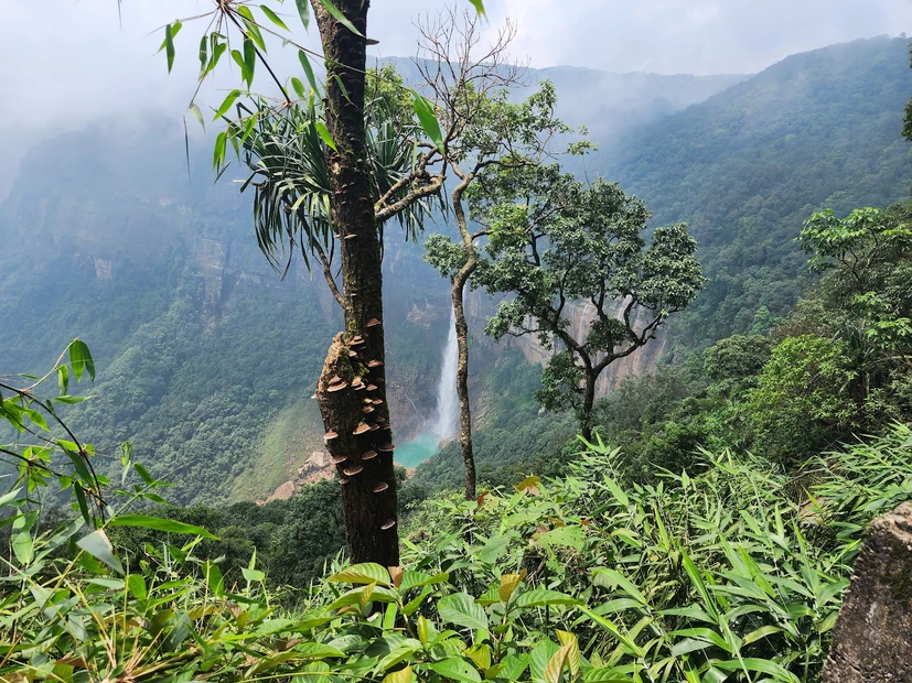 NohKaLikai Falls photo 4 in Cherrapunji