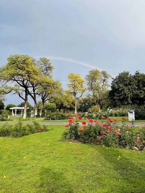 Rose Garden photo 3 in Chandigarh