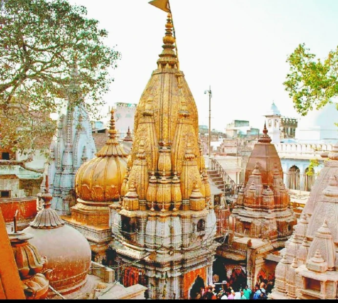 Shri Kashi Vishwanath Temple photo 4 in Varanasi