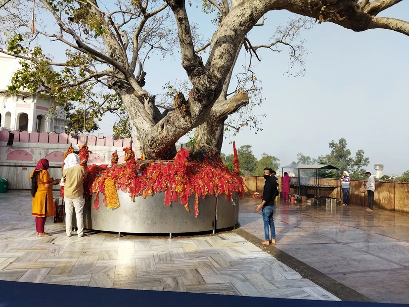 Shri Mata Mansa Devi Mandir, Panchkula photo 5 in Parwanoo