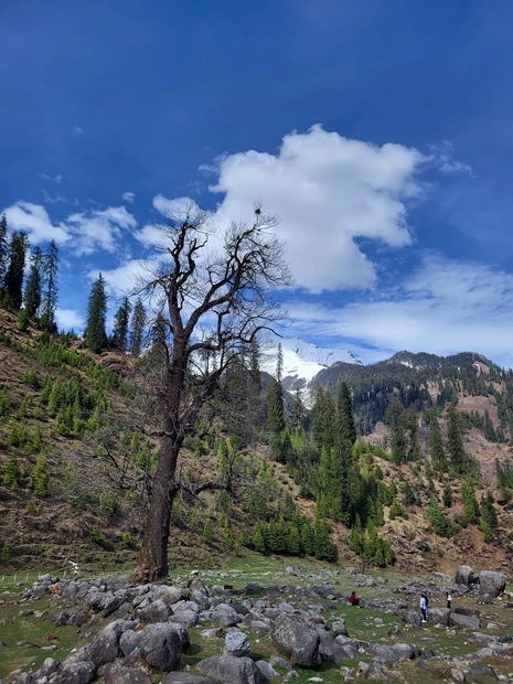Solang Valley photo 3 in Manali
