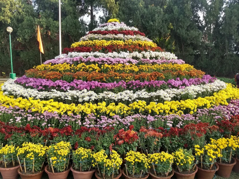 Terraced Garden photo 2 in Chandigarh