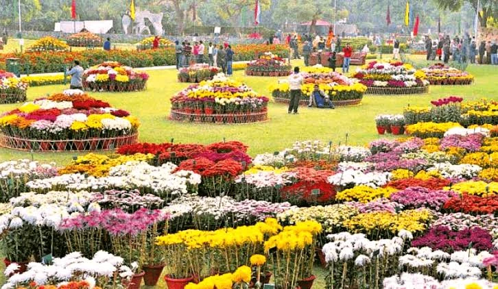 Terraced Garden photo 4 in Chandigarh