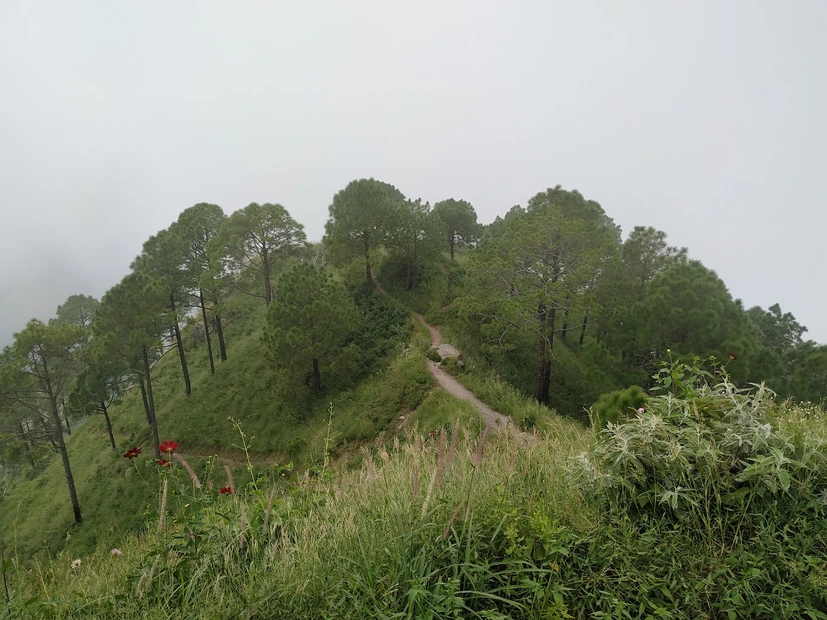 Timber Trail Kasauli photo 2 in Parwanoo