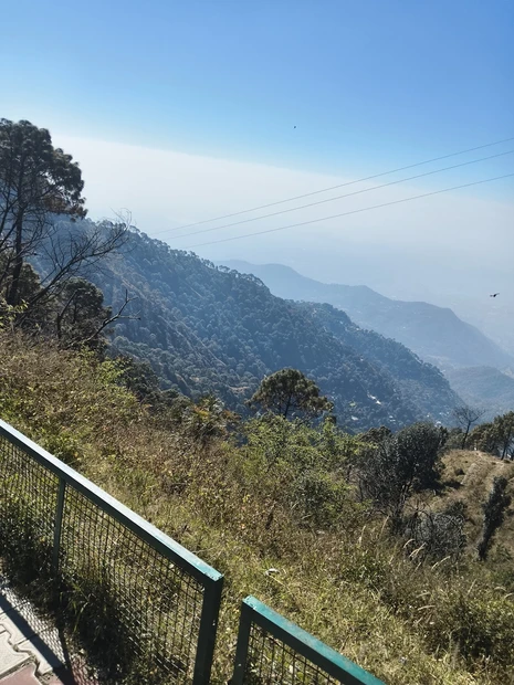 Timber Trail Kasauli photo 3 in Parwanoo