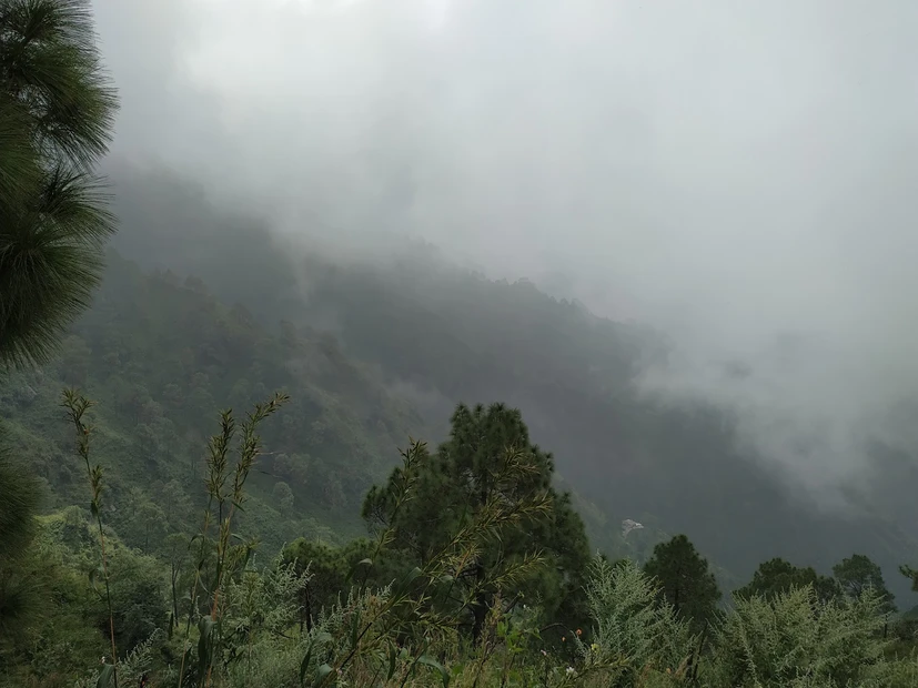 Timber Trail Kasauli photo 4 in Parwanoo