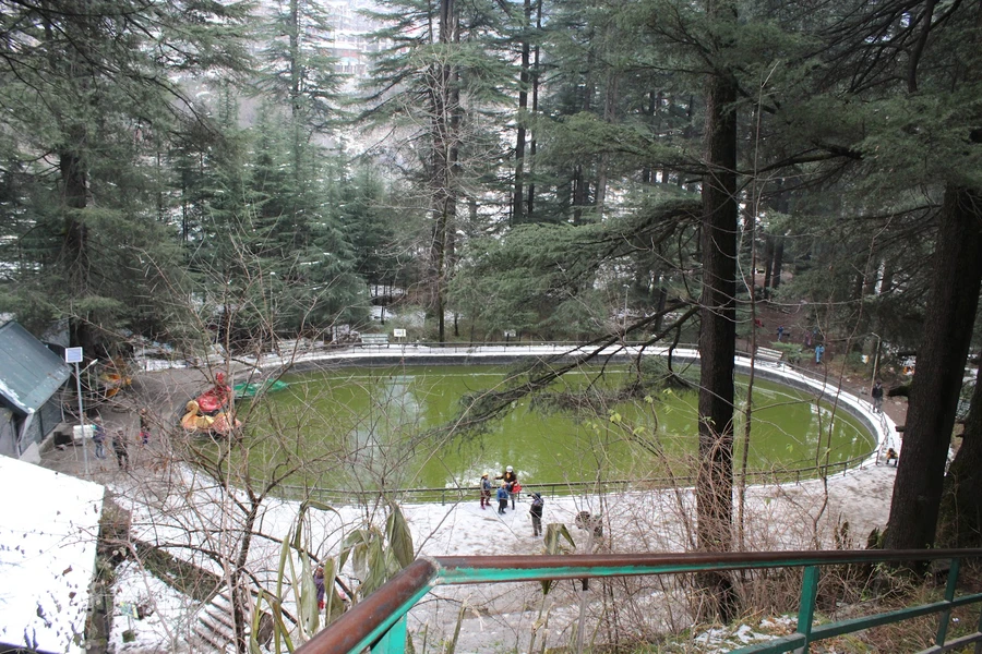 Van Vihar photo 4 in Manali