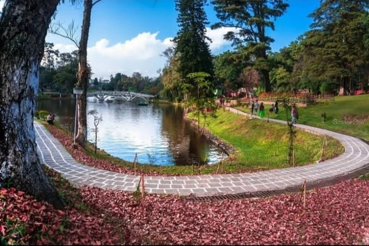 Ward's Lake photo 2 in Shillong