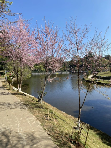 Ward's Lake photo 3 in Shillong